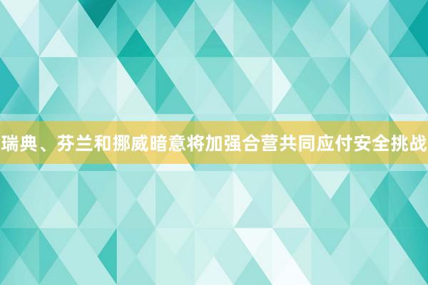 瑞典、芬兰和挪威暗意将加强合营共同应付安全挑战